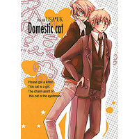 [Boys Love (Yaoi) : R18] Doujinshi - Hetalia / America x United Kingdom (Domestic cat) / AMAOh!