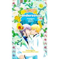 [Boys Love (Yaoi) : R18] Doujinshi - Novel - Tales of Vesperia / Flynn Scifo x Yuri Lowell (Sandersonia‐strawberry candle clover2‐) / ambivalent