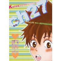 [Boys Love (Yaoi) : R18] Doujinshi - Novel - REBORN! / Tsunayoshi Sawada (ch27) / Kotonoha