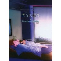 [Boys Love (Yaoi) : R18] Doujinshi - TIGER & BUNNY / Barnaby x Kotetsu (よるのはて 下) / araiso