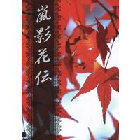 Doujinshi - Novel - Kuroko's Basketball / Aomine x Akashi (嵐影花伝) / 羨都