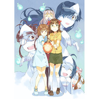 Doujinshi - Illustration book - IM@S: Cinderella Girls / Haruka & Otonashi & Makoto & Yukipo (Splash!) / フェザー・クラウン
