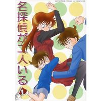 Doujinshi - Meitantei Conan / Satsuki & Kudou Shinichi & Mouri Ran & Edogawa Conan (名探偵が二人いる) / 謎丹亭