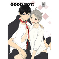 [Boys Love (Yaoi) : R18] Doujinshi - Haikyuu!! / Kageyama x Sugawara (Good Boy!) / Kakusei Desire