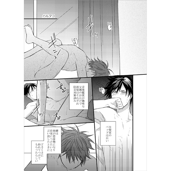 [Boys Love (Yaoi) : R18] Doujinshi - Manga&Novel - DAYS / Ooshiba Kiichi x Kimishita Atsushi (SHIBAKIMI OTORIYOSE) / esora