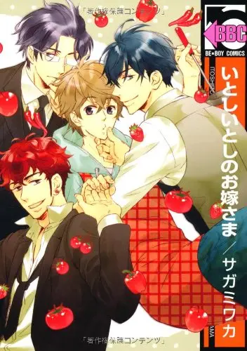 Boys Love (Yaoi) Comics - Itoshi Itoshi no Oyome-sama (いとしいとしのお嫁さま (ビーボーイコミックス)) / Sagami Waka