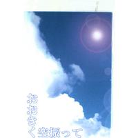Doujinshi - Novel - Durarara!! / Shizuo x Ryugamine & Kuronuma Aoba x Mikado Ryugamine (おおきく空振って) / M.F