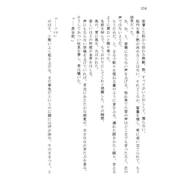 [Boys Love (Yaoi) : R18] Doujinshi - Novel - Touken Ranbu / Nihongou  x Heshikiri Hasebe (嘘に戀し、) / 空色スープレックス