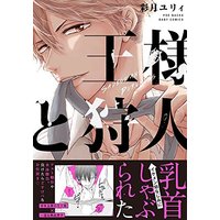 Boys Love (Yaoi) Comics - Ousama to Kariudo (王様と狩人 (BABYコミックス)) / Satsuki Yury