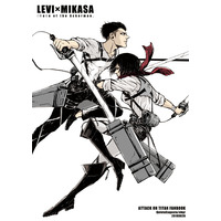 Doujinshi - Illustration book - Shingeki no Kyojin / Levi x Mikasa (LEVI×MIKASA IMaGe of the Ackerman.) / QuintalLagosta