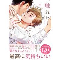 Boys Love (Yaoi) Comics - Fureta toko kara Kimochiii (触れたとこからキモチいい (バンブーコミックス moment)) / Ogi Kannu