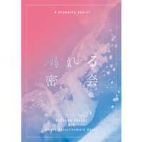 [NL:R18] Doujinshi - Novel - Meitantei Conan / Amuro Tooru x Enomoto Azusa (溺れる密会（再販版）) / ASOKO