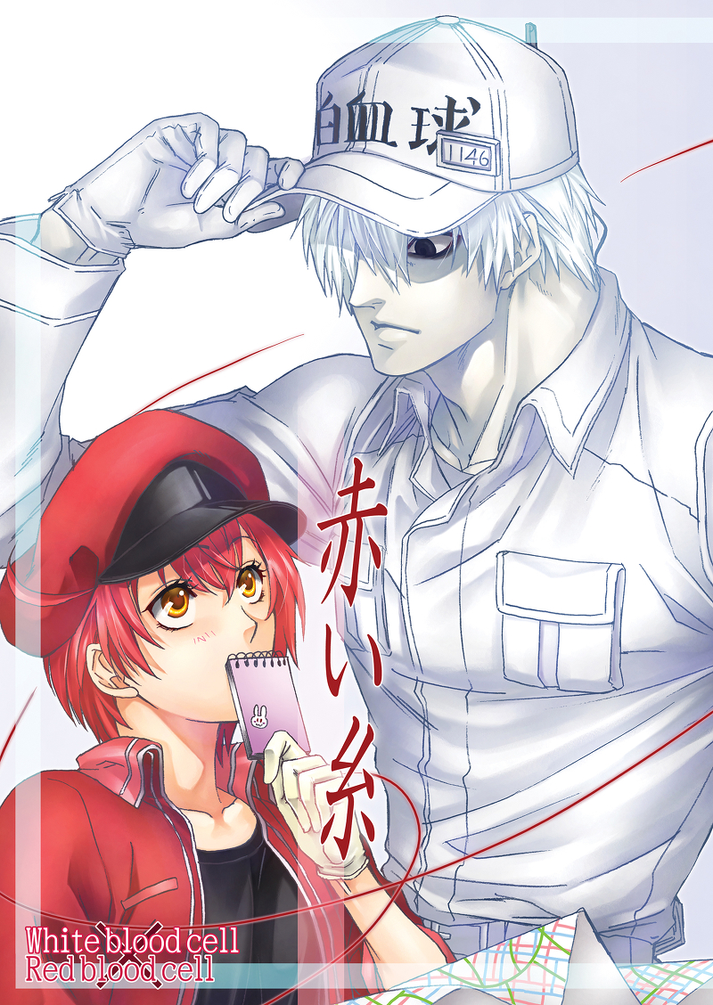 USED) Doujinshi - Cells at Work! / White Blood Cell x Red Blood Cell  (AE3803) (赤い糸) / Romanesque