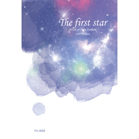 [NL:R18] Doujinshi - Novel - Shingeki no Kyojin / Levi x Mikasa (The first star) / 最後の恋をした