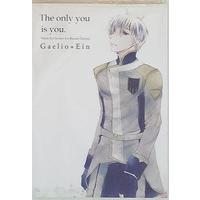Doujinshi - IRON-BLOODED ORPHANS / Gaelio Bauduin x Ein (The only you is you) / 漂流する
