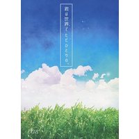 [Boys Love (Yaoi) : R18] Doujinshi - Novel - Touken Ranbu / Shokudaikiri Mitsutada x Heshikiri Hasebe (君は世界で ただひとりの、) / A/un