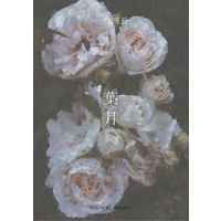 [Boys Love (Yaoi) : R18] Doujinshi - Novel - Golden Kamuy / Sugimoto x Ogata (葉月) / いろどりミルク