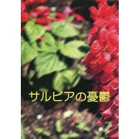 Doujinshi - Novel - Anthology - Summer Wars / Ikezawa Kazuma x Koiso Kenji (サルビアの憂鬱) / Standing Wonderland