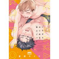 Boys Love (Yaoi) Comics - Ichikara Hajimeru Koibito Gokko (いちからはじめる恋人ごっこ (バンブー・コミックス REIJIN uno!)) / Natsuhara Psyche