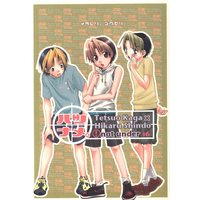 Doujinshi - Anthology - Hikaru no Go / Kaga Tetsuo x Shindou Hikaru (ハツナメ。 *アンソロジー) / ヨコハマタチカゼサァカス