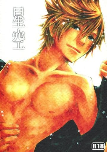 [Boys Love (Yaoi) : R18] Doujinshi - Novel - KINGDOM HEARTS / Axel x Roxas (星空) / JITTER BUG