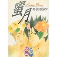 [Boys Love (Yaoi) : R18] Doujinshi - Rurouni Kenshin / Himura Kenshin x Sagara Sanosuke (蜜月Honey moon) / あっちっち/FLASH MAMA