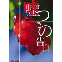 [Boys Love (Yaoi) : R18] Doujinshi - Novel - Hetalia / Germany & Prussia (嘘つきの告白) / matar