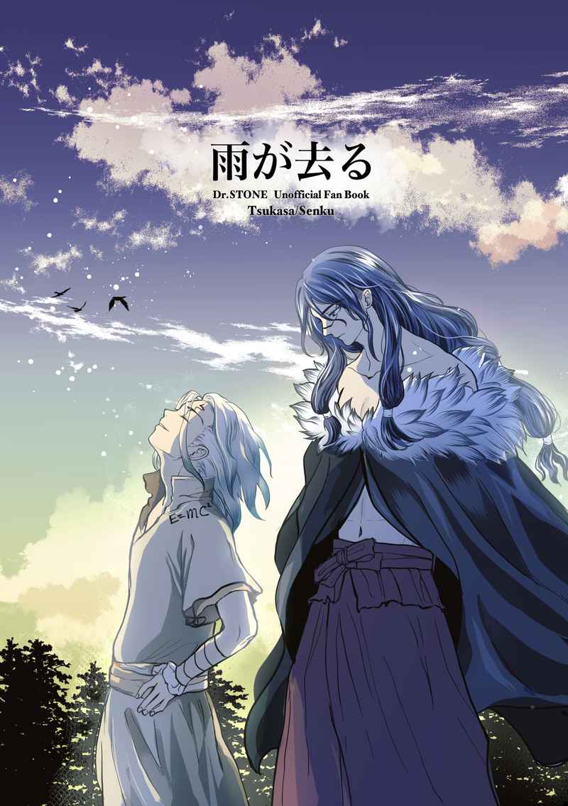Doujinshi - Novel - Dr.STONE / Tsukasa x Senku (雨が去る) / 羽鳥の巣