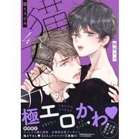 Boys Love (Yaoi) Comics - Neko to Spica (猫とスピカ4 (drap COMICS DX)) / Hatoya Tama