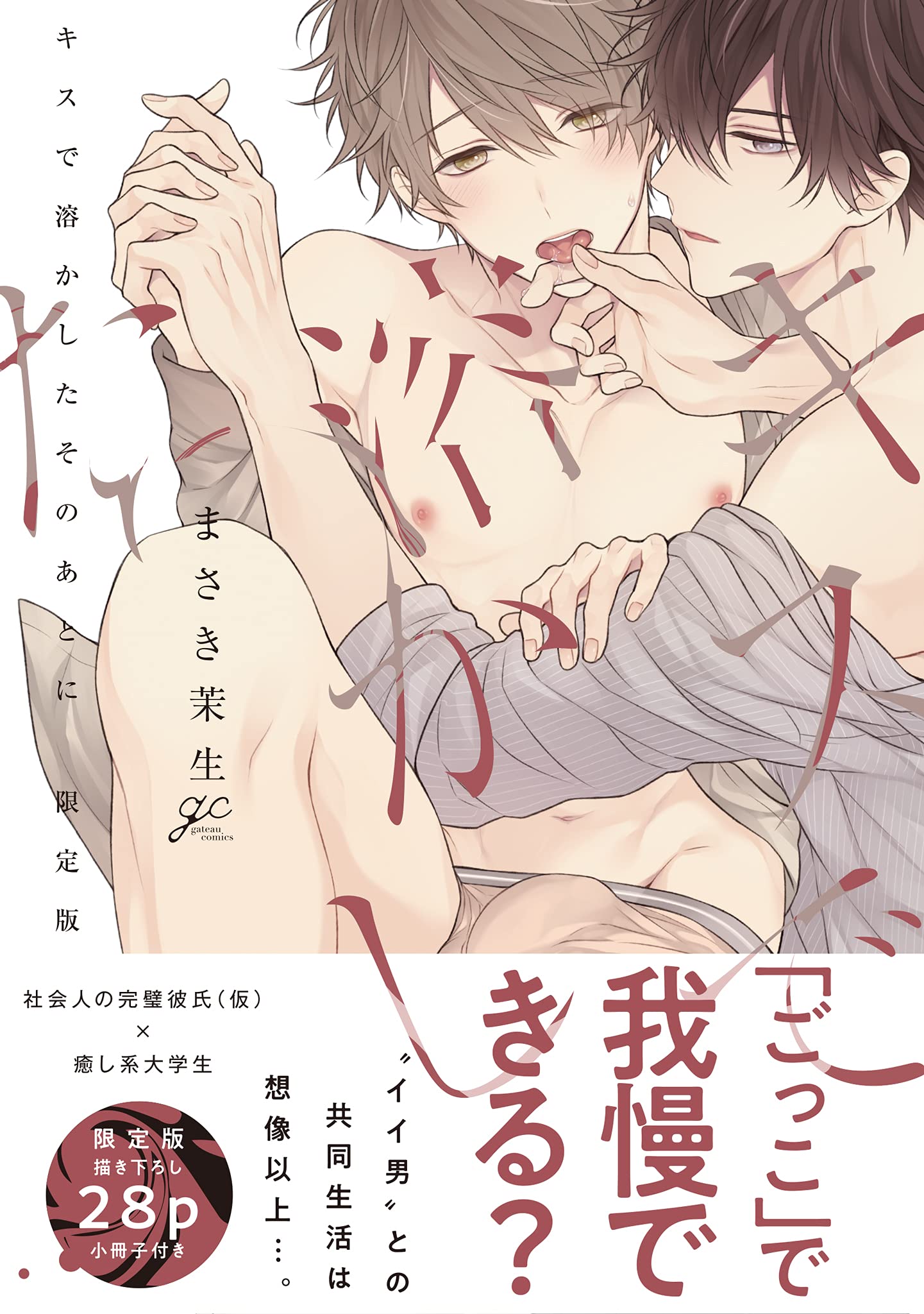 Boys Love (Yaoi) Comics - Kiss de Tokashita Sonoato ni (キスで溶かしたそのあとに 限定版 (gateauコミックス)) / Masaki Maki