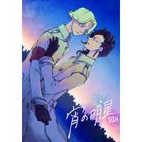 [Boys Love (Yaoi) : R18] Doujinshi - Novel - Tokyo Revengers / Inupi x Koko (宵の明星) / コーポ阿佐ヶ谷302