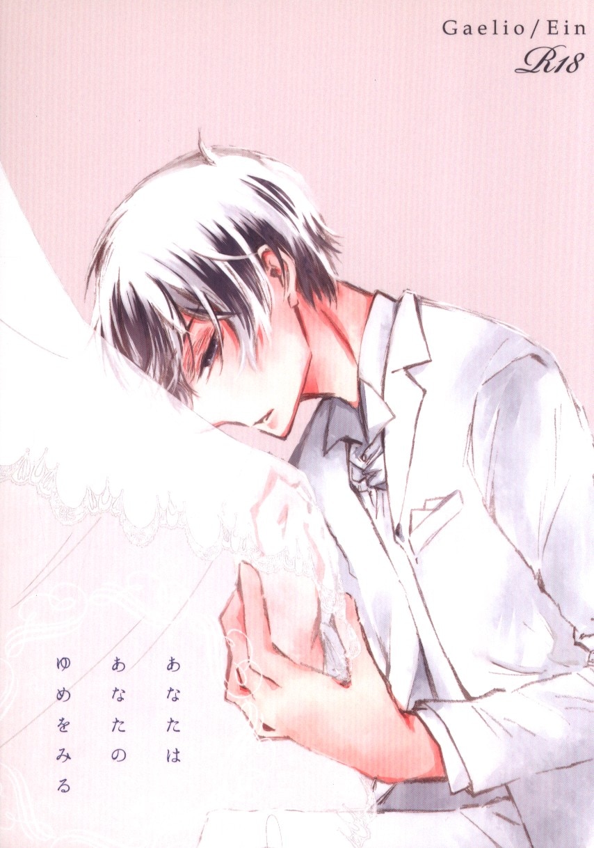 [Boys Love (Yaoi) : R18] Doujinshi - IRON-BLOODED ORPHANS / Gaelio Bauduin x Ein (あなたはあなたのゆめをみる) / 漂流する