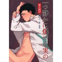 [Boys Love (Yaoi) : R18] Doujinshi - Illustration book - Haikyuu!! / Matsukawa Issei (一つ静かに爆ぜる実の *イラスト集) / 淡菊