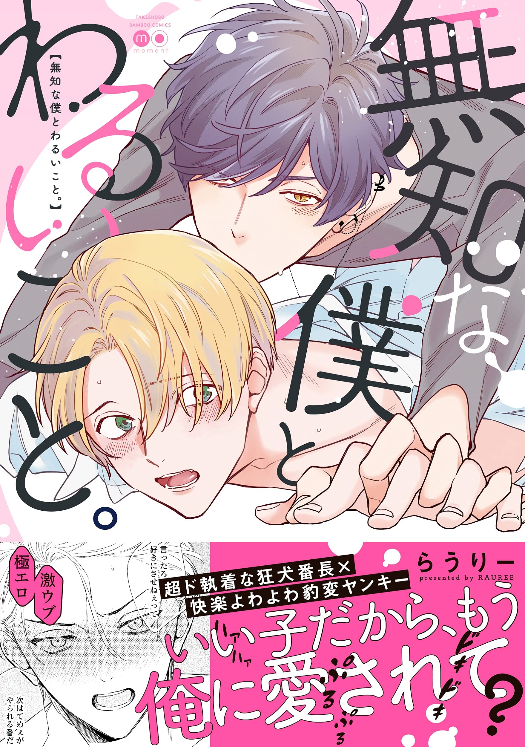 Boys Love (Yaoi) Comics - Muchi na Boku to Waruikoto (My Alter-Ego is a Gangster!) (無知な僕とわるいこと。 (バンブーコミックス moment)) / Rauree