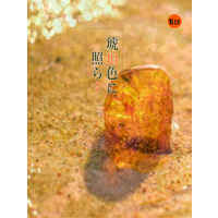 [Boys Love (Yaoi) : R18] Doujinshi - Novel - Haikyuu!! / Kageyama x Hinata (琥珀色に照らす) / 今が旬