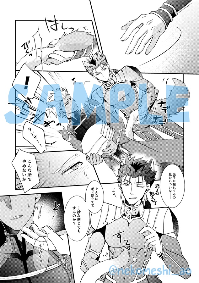 [Boys Love (Yaoi) : R18] Doujinshi - Manga&Novel - Anthology - Fate/Grand Order / Lancer & Archer (KEMOLANCHER) / 猫メシ