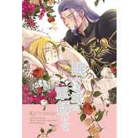 [Boys Love (Yaoi) : R18] Doujinshi - Novel - DQ XI / Hendrik x Jasper (眠れる城の軍師サマ) / TMK