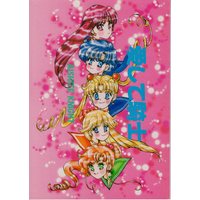 Doujinshi - Sailor Moon / All Characters (愛して騎士) / KIDDY LAND