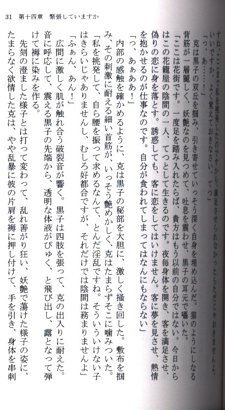 [Boys Love (Yaoi) : R18] Doujinshi - Novel - Kuroko's Basketball / Kagami x Kuroko (糸縒る柳、露濡つ朝顔-牽牛子編- *文庫 後編) / 鏡草