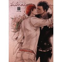 [Boys Love (Yaoi) : R18] Doujinshi - Novel - Kuroko's Basketball / Aomine x Kagami (チューベローズ *文庫) / Iolite