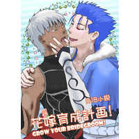 [Boys Love (Yaoi) : R18] Doujinshi - Novel - Fate/Grand Order / Caster & Lancer & Archer & Scathach (花嫁育成計画) / ほにゃろし