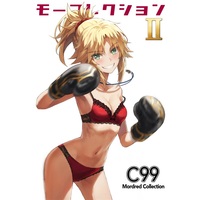Doujinshi - Illustration book - Fate/Grand Order / Mordred (Fate Series) (モーコレクション2) / NEET ACADEMIA