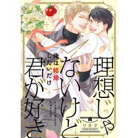Boys Love (Yaoi) Comics - Risou janai kedo Kimi ga Suki (理想じゃないけど君が好き (バーズコミックス リンクスコレクション)) / Riona