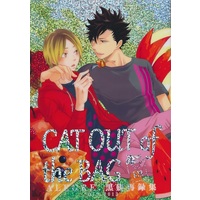 [Boys Love (Yaoi) : R18] Doujinshi - Haikyuu!! / Kuroo x Kenma (CAT OUT of the BAG 【ハイキュー!!】[セキモリ][ALEGRE.]) / ALEGRE.