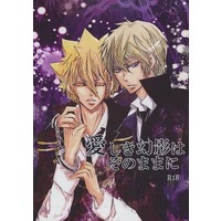 [Boys Love (Yaoi) : R18] Doujinshi - Novel - REBORN! / Alaude x Giotto (Primo) (愛しき幻影はそのままに) / シャンプーのたびに抜け毛が気になる