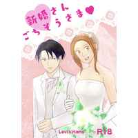 [NL:R18] Doujinshi - Novel - Shingeki no Kyojin / Levi x Hanji (新婚さんごちそうさま) / イノシシアイス