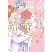 Boys Love (Yaoi) Comics - Hanaoto Comics (運命なので結婚してください！) / Satsuki Yury