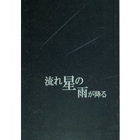 Doujinshi - Novel - Shingeki no Kyojin / Levi x Eren (流れ星の雨が降る) / 206
