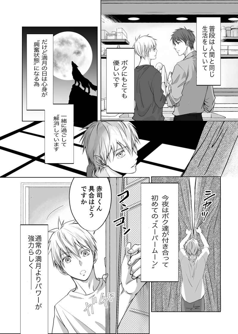 [Boys Love (Yaoi) : R18] Doujinshi - Kuroko's Basketball / Akashi x Kuroko (キミと満月のよるにEXTRA) / karasm