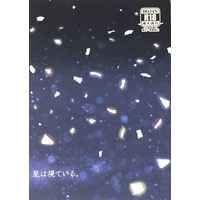 [Boys Love (Yaoi) : R18] Doujinshi - Novel - Final Fantasy Series / Mob Character (星は視ている。) / RED BLUE